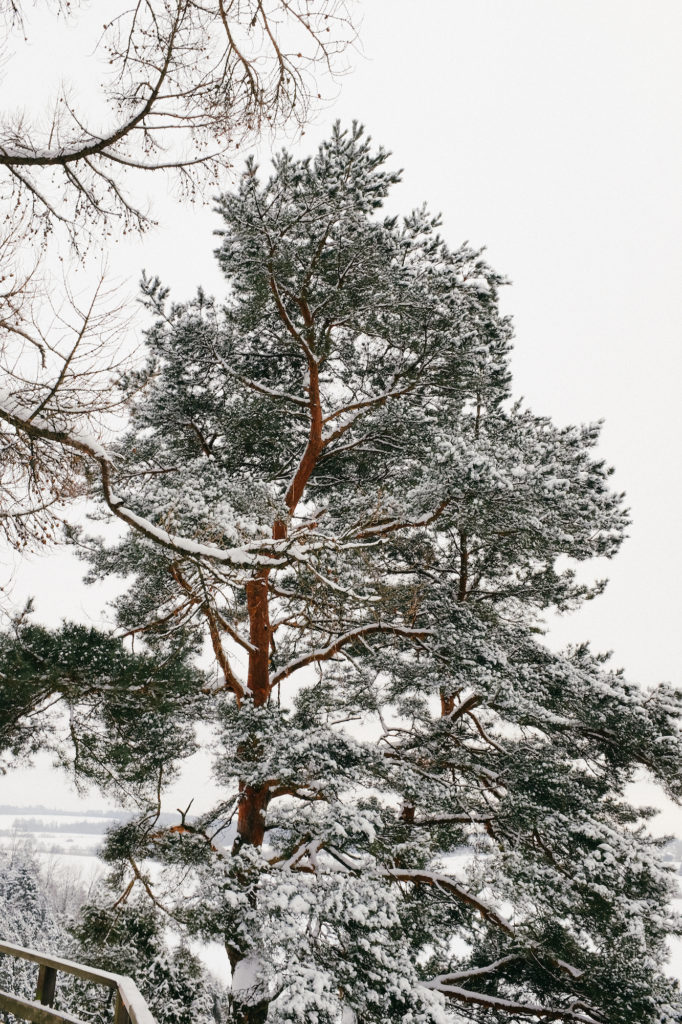 dovile b Lithuania winter