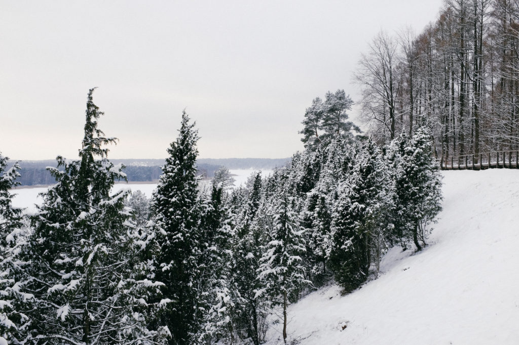 dovile b Lithuania winter