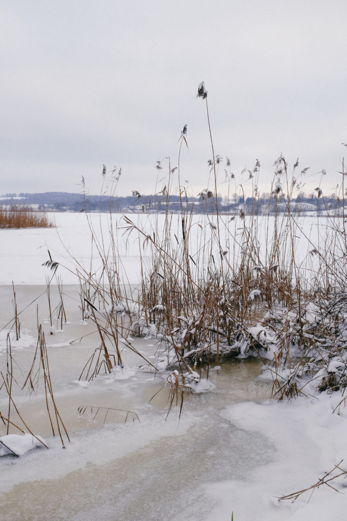 dovile b Lithuania winter