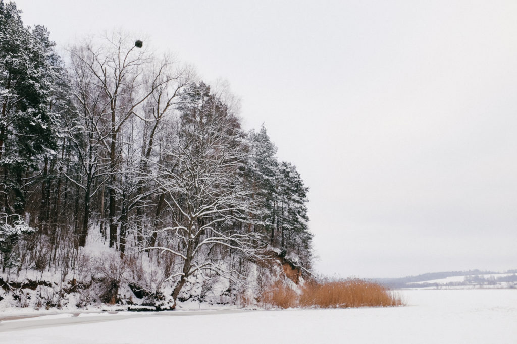 dovile b Lithuania winter