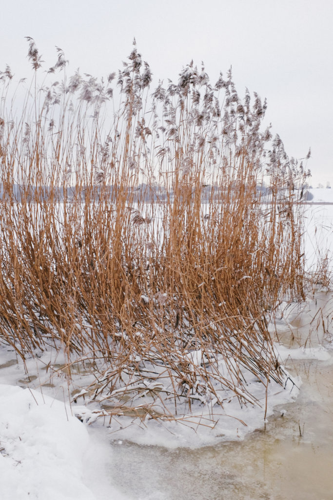 dovile b Lithuania winter