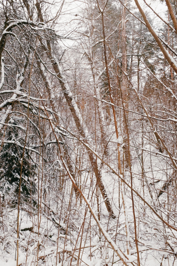 dovile b Lithuania winter