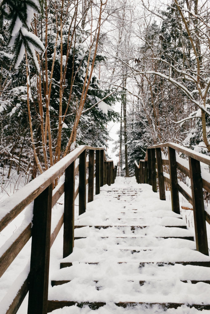 dovile b Lithuania winter