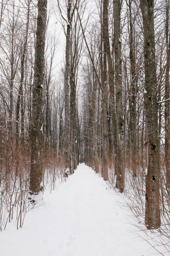 dovile b Lithuania winter