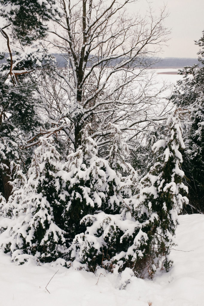 dovile b Lithuania winter