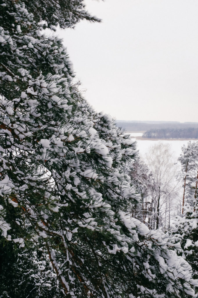 dovile b Lithuania winter