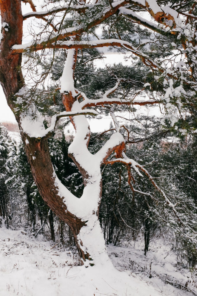 dovile b Lithuania winter