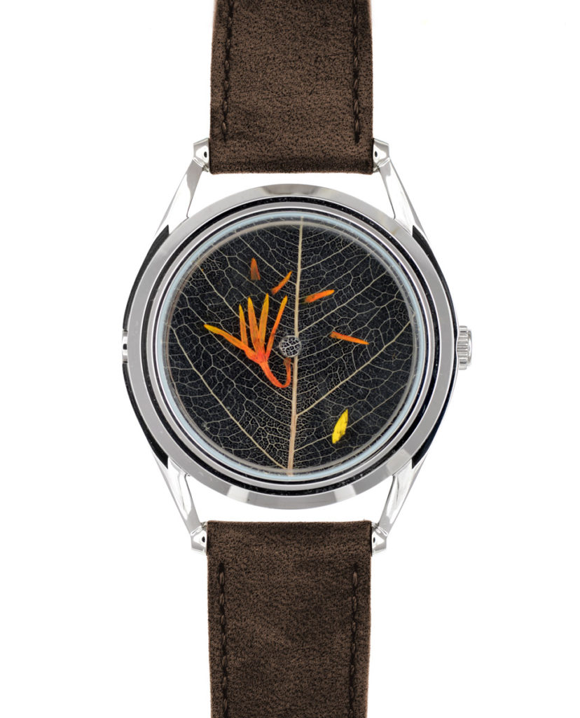 dovile b autumn's riches collaboration watch