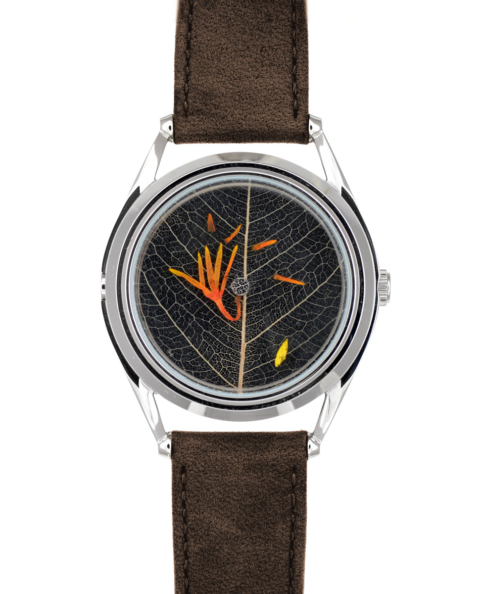 Autumn’s Riches watch Collaboration with Mr. Jones Watches