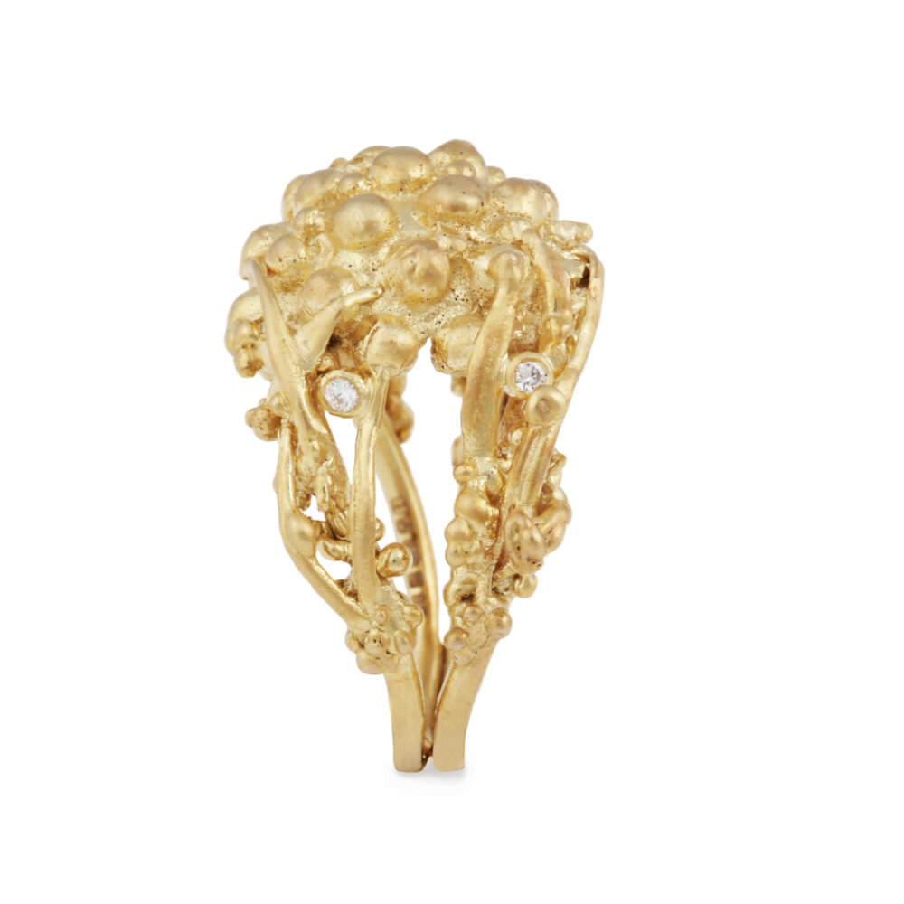 Hay Gold and Diamond Ring