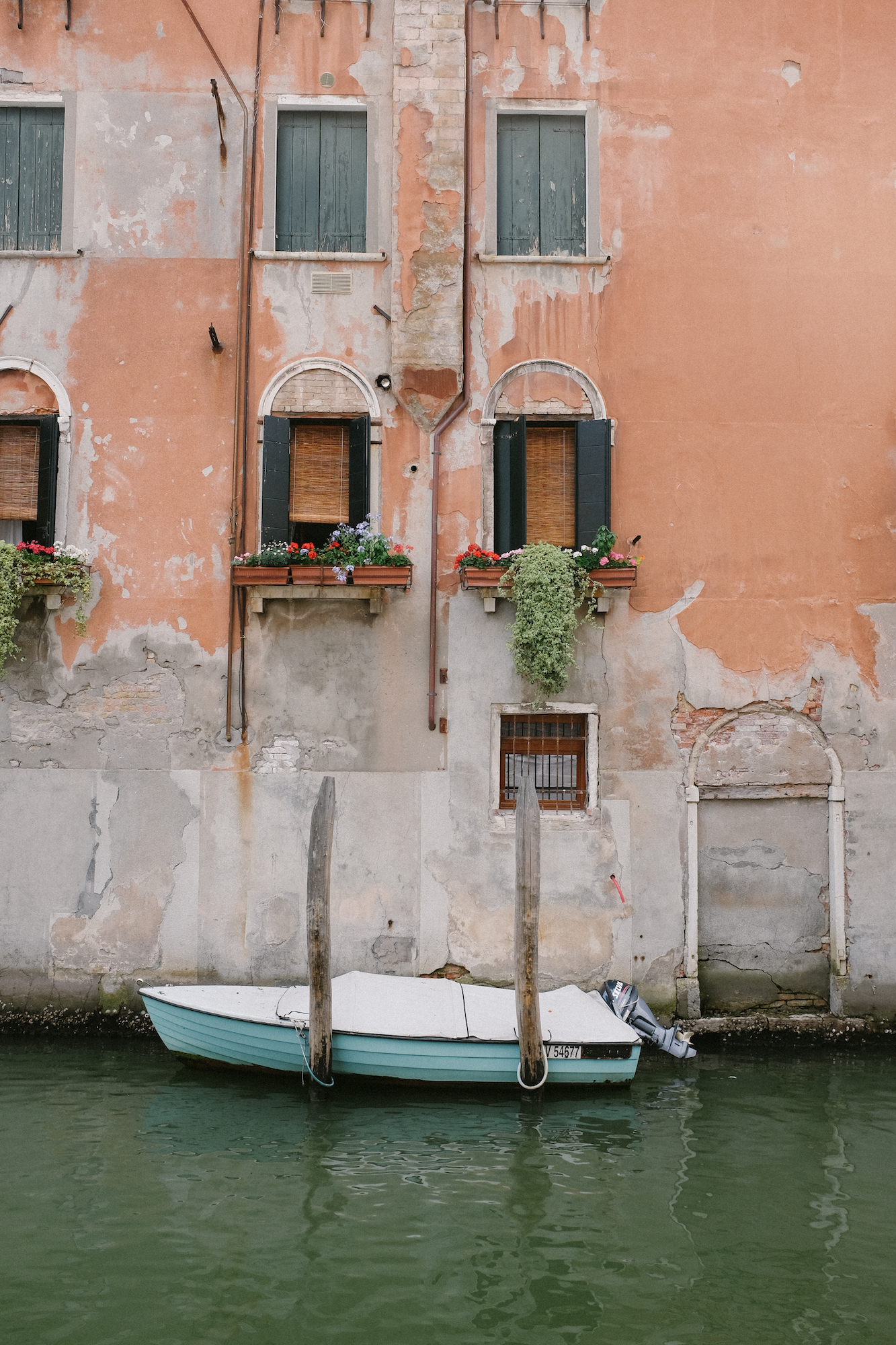 dovile b. venice colours inspiration