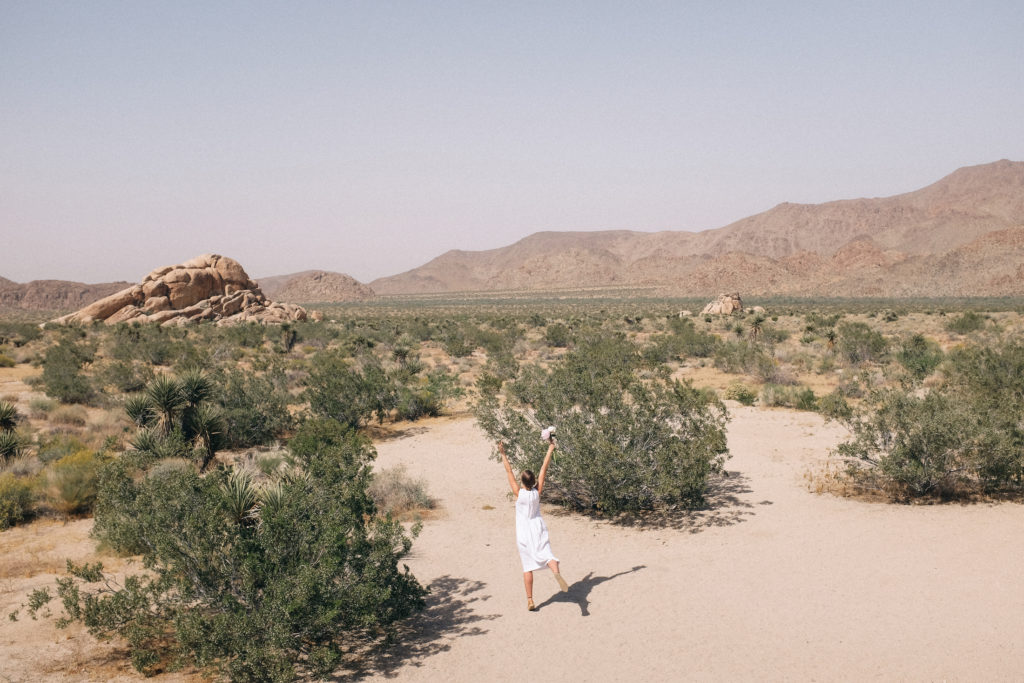 dovile b wedding joshua tree rustic