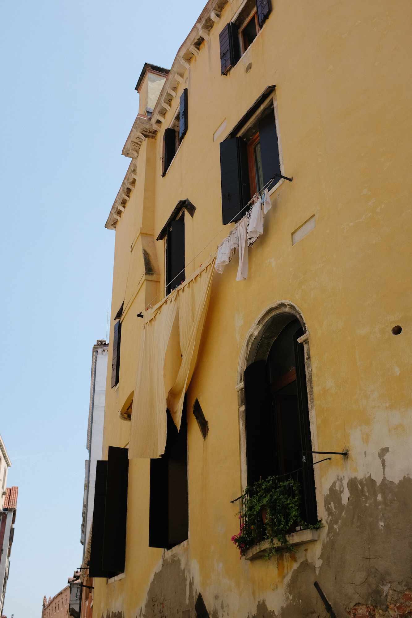 dovile b. venice colours inspiration