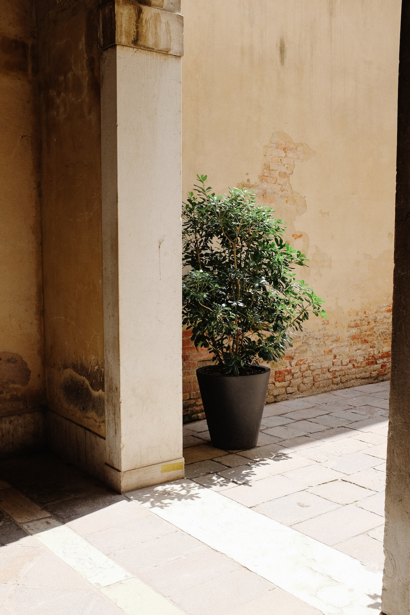 dovile b. venice colours inspiration