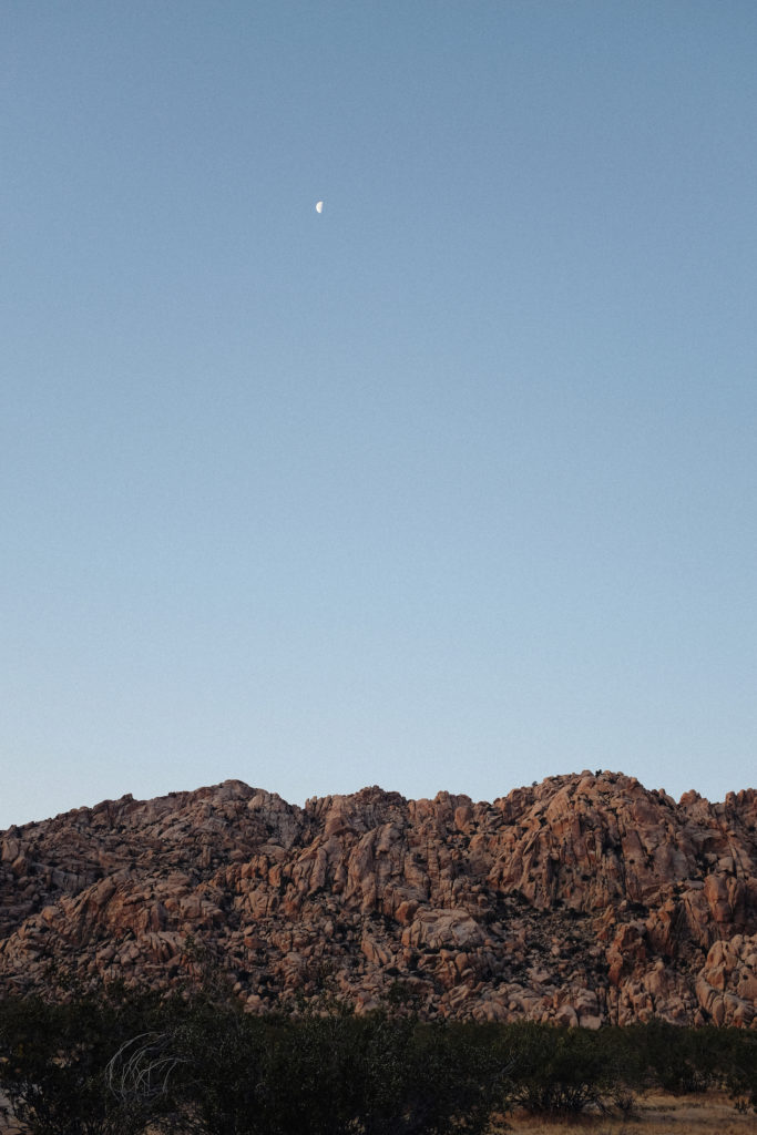 dovile b wedding joshua tree rustic