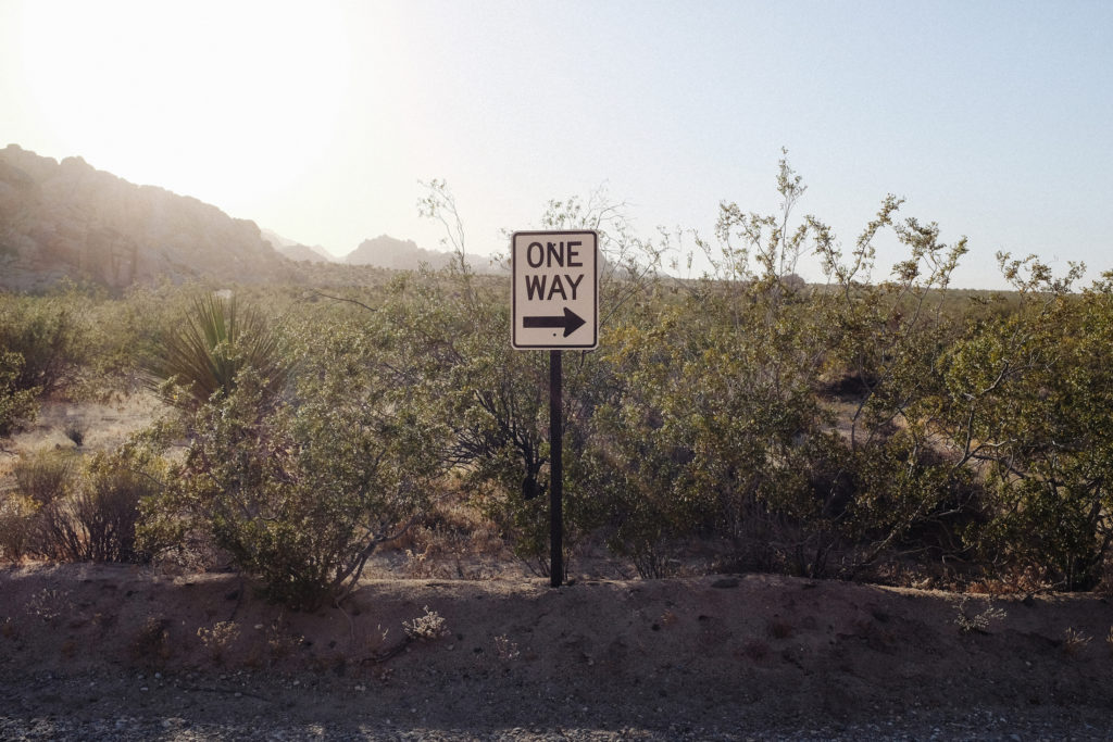 dovile b wedding joshua tree