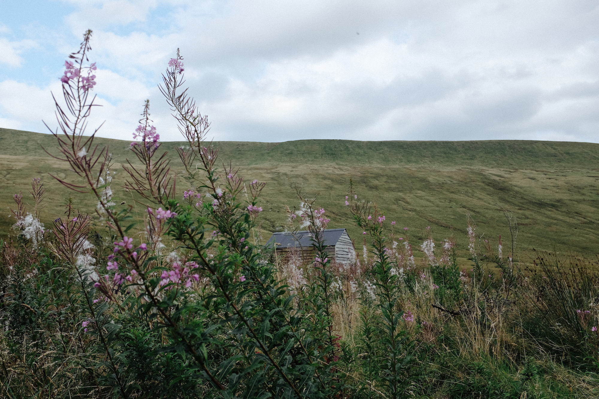 dovileb wales shed brecon beacons