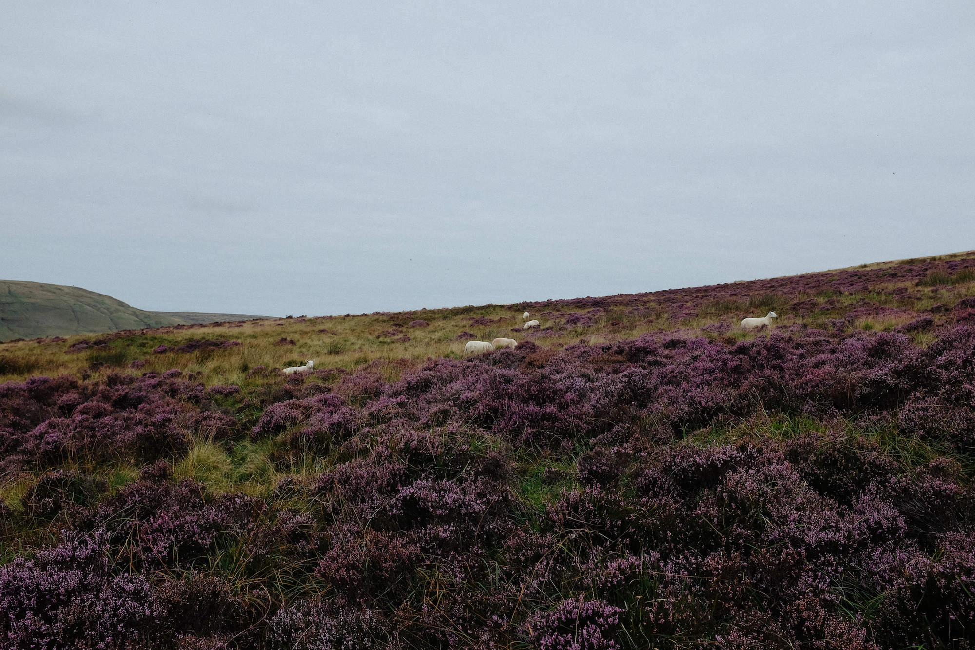 dovile b wales landscape brecon beacons